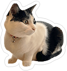 nyan10